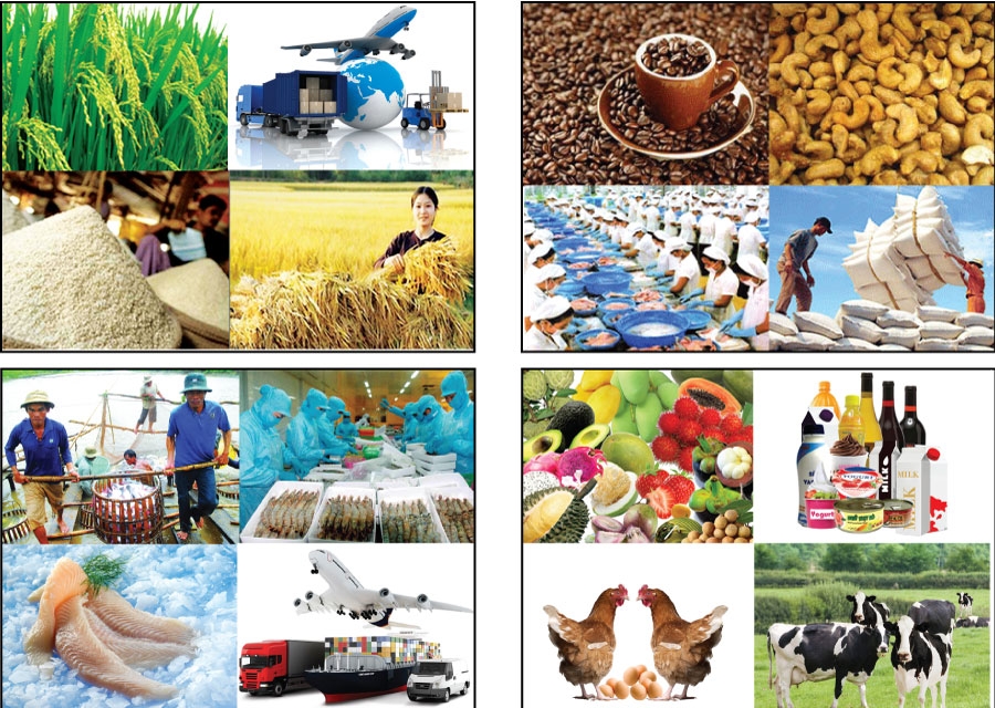 Xuất khẩu nông sản thu về gần 43,5 tỷ USD