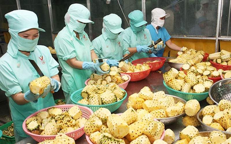 Hơn 1.000 mã nông sản, thực phẩm được phép xuất khẩu vào Trung Quốc