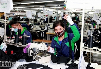ILO: Covid-19 sẽ “cướp đi” 195 triệu việc làm