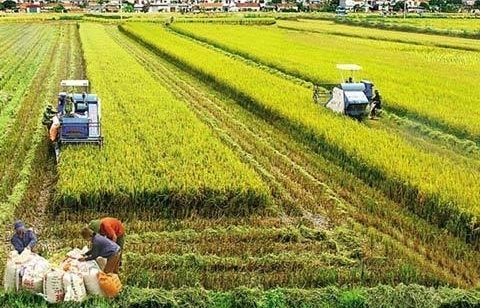 Tăng đầu tư cho nông nghiệp, nông thôn trong giai đoạn 2021 – 2030