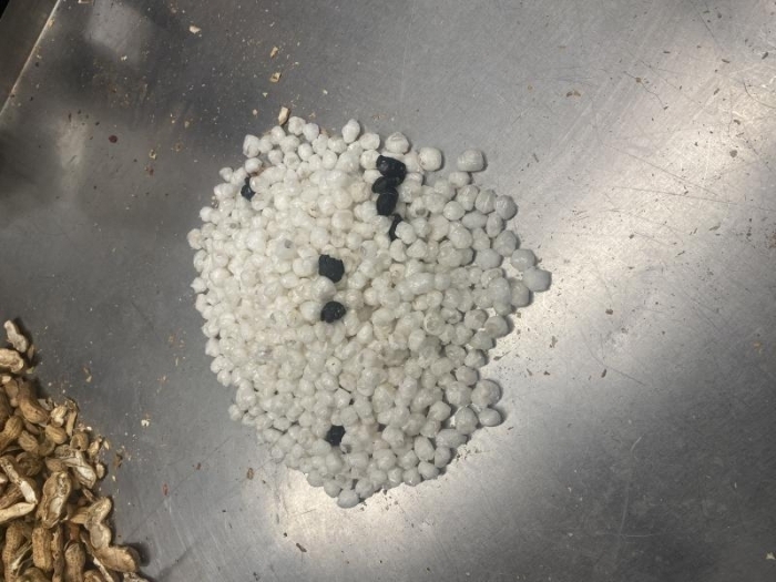 2.445 liều methamphetamines cất giấu trong vỏ hạt lạc