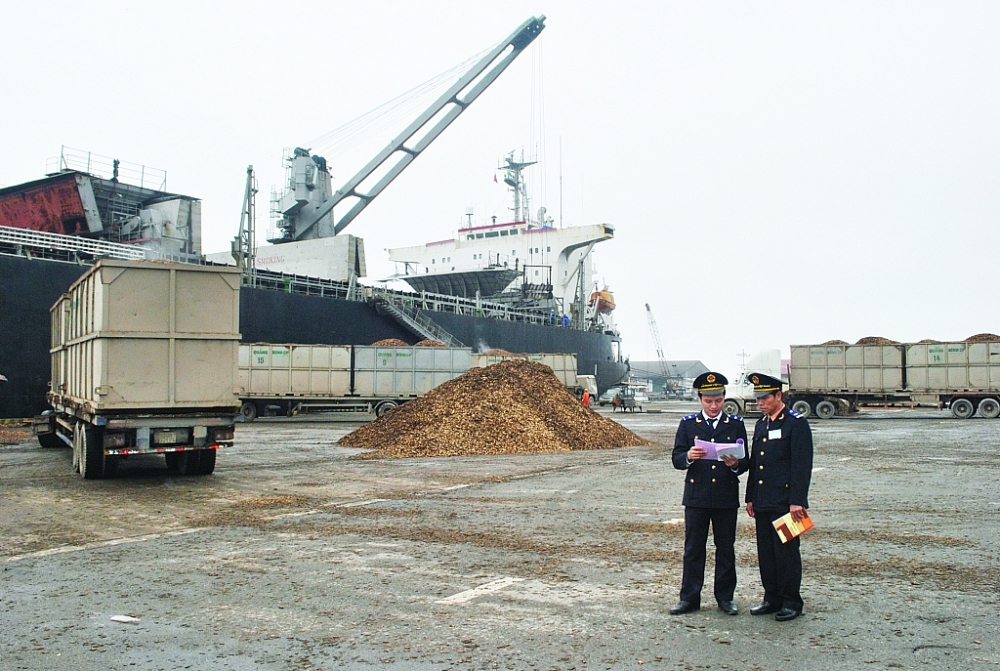Công chức Hải quan cảng Vũng Áng (Hà Tĩnh) kiểm tra giám sát hàng hóa tại cảng. Ảnh: M.Hùng