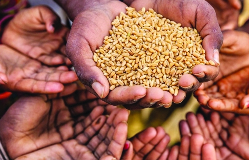 Thêm thách thức “bủa vây” an ninh lương thực toàn cầu