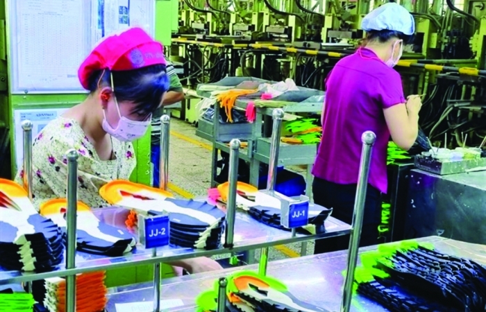 Chính sách miễn, giảm thuế, phí: Trao “cần câu" cho người dân, doanh nghiệp