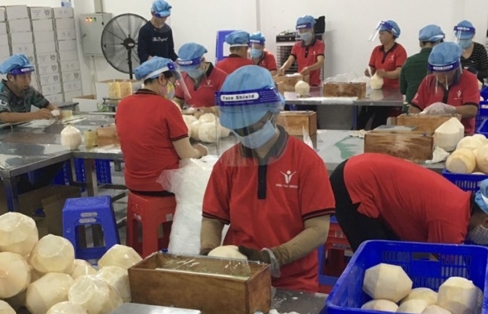 Mở cửa thị trường Mỹ đối với mặt hàng quả dừa sọ Việt Nam