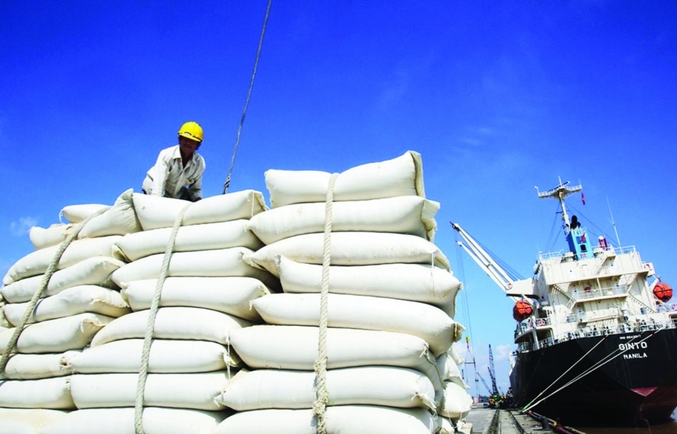 VCCI: Điều kiện kinh doanh khiến hạt gạo của Việt Nam đắt hơn, khó xuất khẩu hơn