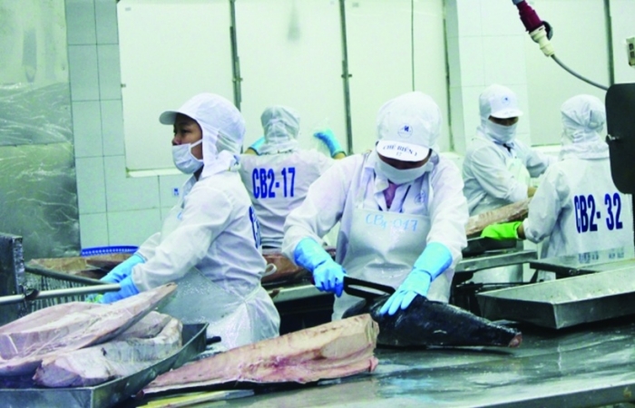 Tiềm năng xuất khẩu cá ngừ sang Ba Lan
