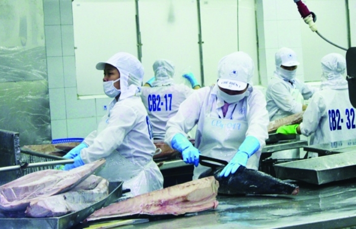 Doanh nghiệp mở rộng thêm được 10 thị trường xuất khẩu cá ngừ