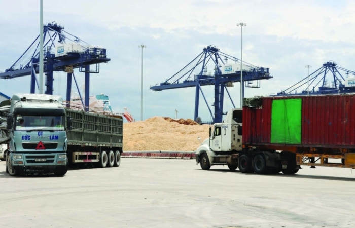 Hải quan Vũng Áng:  Cùng doanh nghiệp xuất khẩu dăm gỗ nối lại thị trường