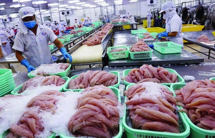 Trung Quốc vẫn là thị trường nhập khẩu cá tra lớn nhất của Việt Nam