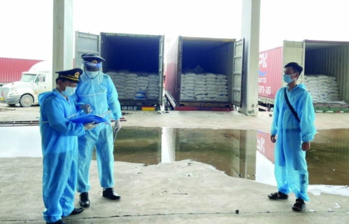 Hải quan Quảng Trị:  Đảm bảo xuất nhập khẩu thông suốt trong dịch bệnh