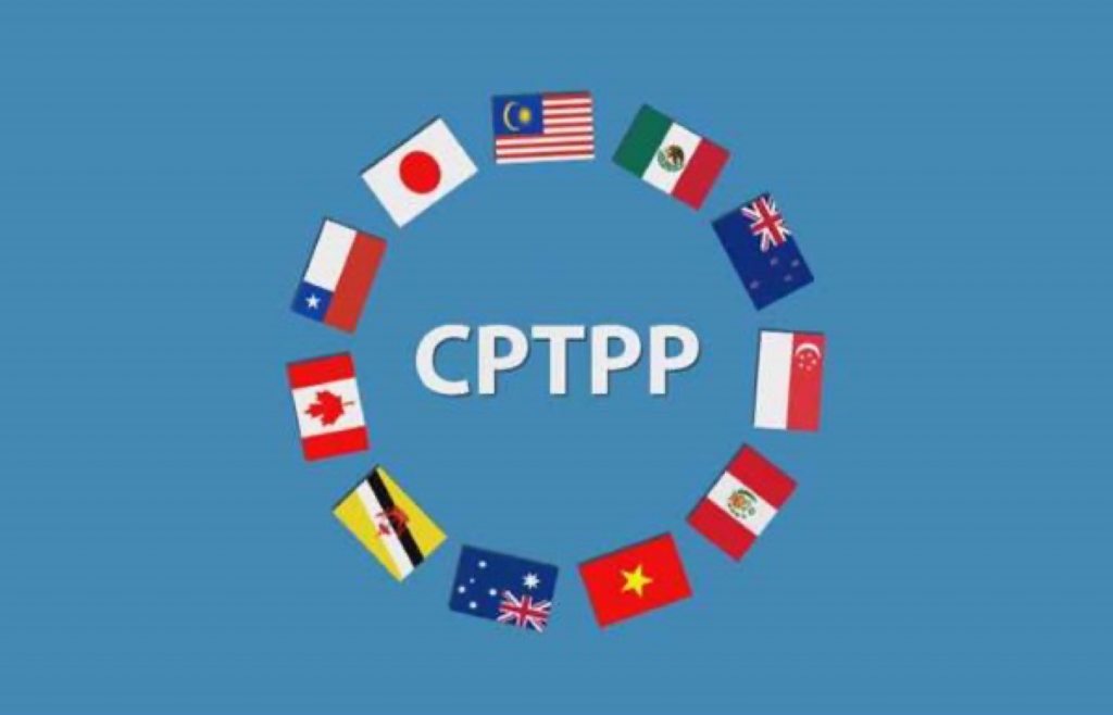 Những năm qua đã chứng kiến các mối liên kết ngày càng tăng giữa các thành viên CPTPP. 