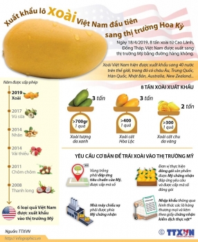 [Infographics] Xuất khẩu lô xoài Việt Nam đầu tiên sang thị trường Mỹ