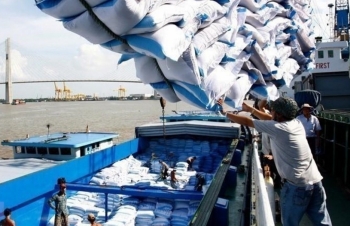 Thủ tướng đồng ý cho xuất khẩu 400.000 tấn gạo trong tháng 4
