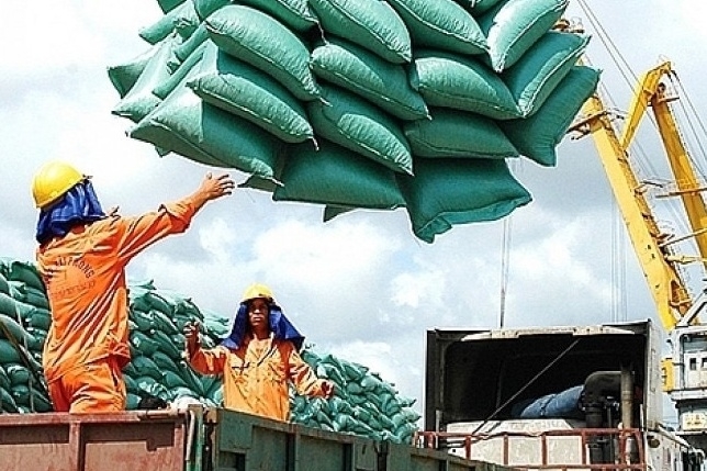 Thúc đẩy sản xuất, xuất khẩu gạo