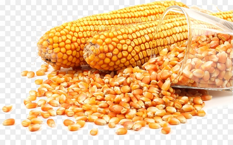 3736-kisspng-stock-photography-popcorn-maize-grain-wheat-spike-5b2373d964cf926670103015290500734129