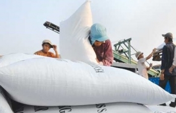 Cho phép xuất khẩu gạo nếp trong tháng 4 theo nhu cầu thị trường