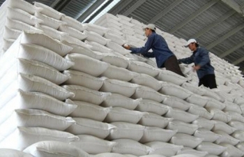Kiểm tra việc mua gạo dự trữ, Thanh tra Bộ Tài chính phát hiện hàng loạt sai phạm