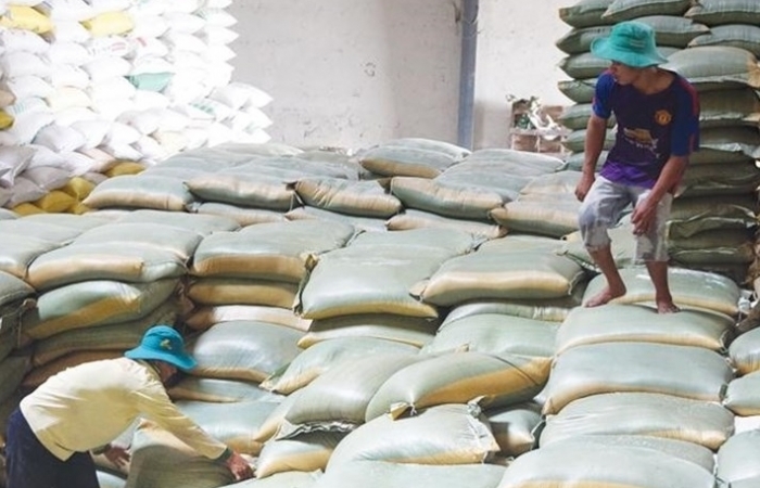 Ấn Độ đẩy mạnh xuất khẩu gạo sẽ gây áp lực lên giá gạo Việt Nam