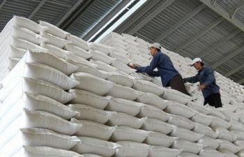 Đã xuất cấp 105,7 nghìn tấn gạo dự trữ quốc gia để cứu trợ, hỗ trợ các tỉnh