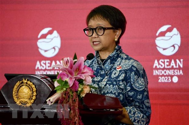 ASEAN mong muon mo rong them thanh vien tham gia Hiep uoc SEANWFZ hinh anh 1