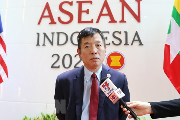 Dai su Vu Ho: ASEAN chung tay thuc day phuc hoi kinh te hinh anh 1