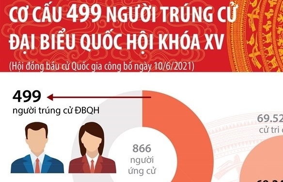 Infographics: Cơ cấu 499 người trúng cử đại biểu Quốc hội khóa XV
