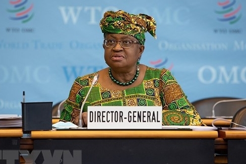 Tổng giám đốc WTO khuyến cáo về bất bình đẳng trong tiếp cận vaccine