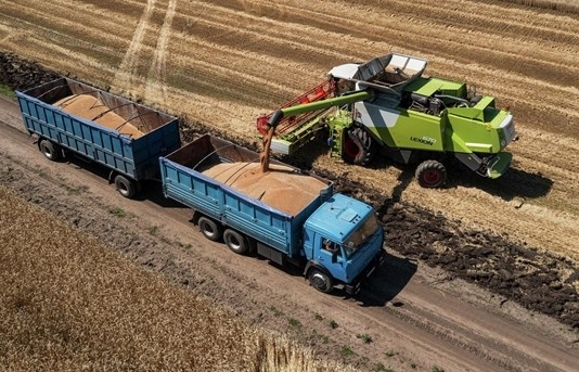Tổng thống Nga kêu gọi phương Tây dỡ bỏ hạn chế xuất khẩu ngũ cốc