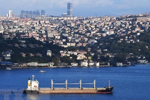 Ukraine thông báo số tàu chở ngũ cốc lớn nhất rời cảng
