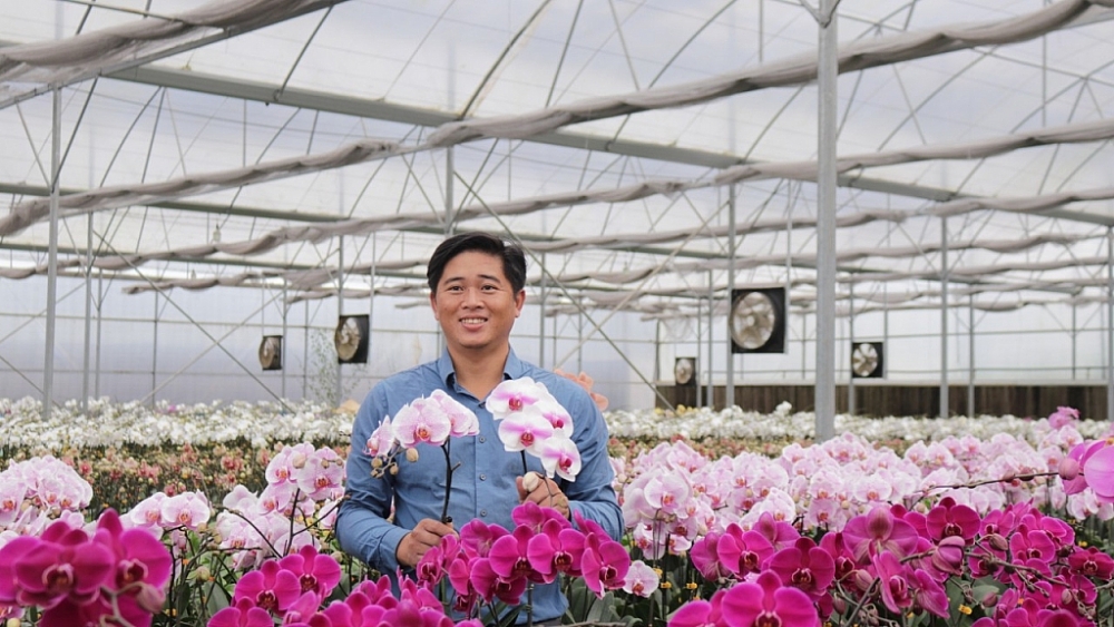 YSA Orchid Farm: Nơi ngàn đóa lan khoe sắc